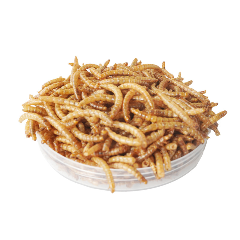 Food Snacks High In Protein - Hochprotein-Snacks für Hamster, Vögel, Igel, Meerschweinchen,